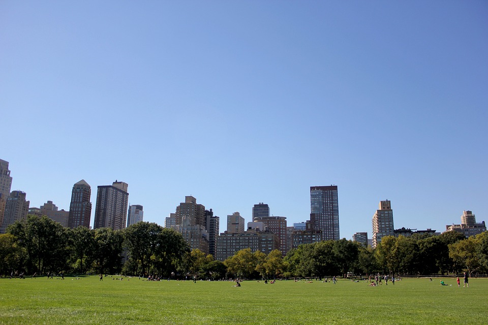 Central Park Los Angeles Travel - Free photo on Pixabay